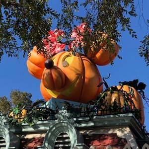 Meet your Posher, Christie